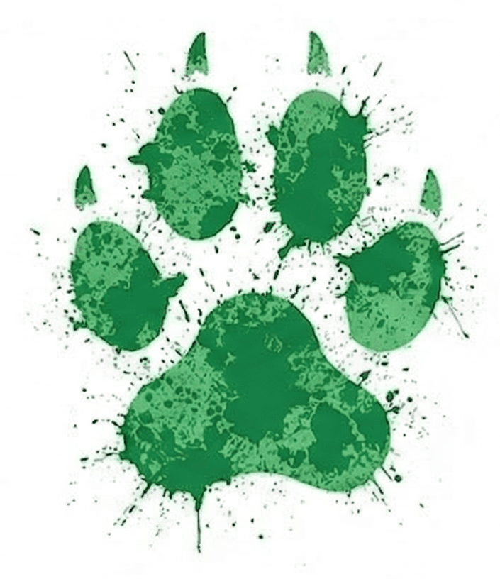 The studio takes over.