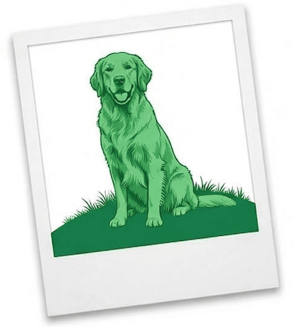 Drop your best shot.